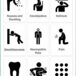 PalliKare-A-Palliative-Care-App-scrn
