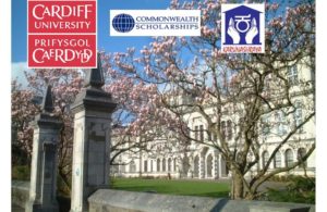 MSC in Palliative Medicine: Apply Now for Commonwealth Scholarships