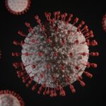 End-of-life care for Serious COVID-19 Patients covid-19-pandemic