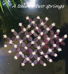 “A tale of two springs”