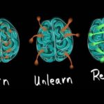 Transition: Learning, Unlearning and Relearning Dr Rajashree 2