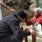 Safeguarding the Forgotten: Palliative Care as a Response to Elder Mistreatment Palliative Care as a Response to Elder Mistreatment_Feature Image